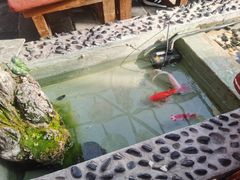 -丽江庭院之爱在路上(西单店)
