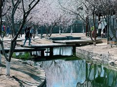 -三里河公园