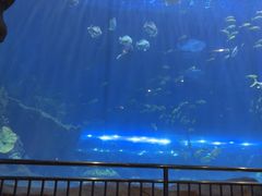 -华夏文旅海洋公园