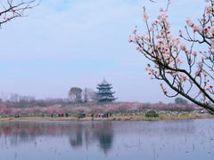 -上海海湾国家森林公园