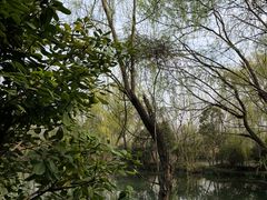 -溱湖国家湿地公园