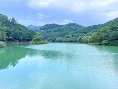 -广州白江湖森林公园