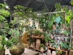 -自由生长植物工作室(深港花卉中心店)