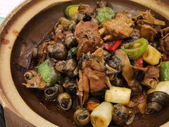 -清新鸡沙田乳鸽店(金融店)