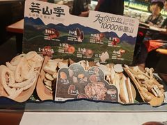 当季野生菌拼盘-芸山季·云南山珍菌火锅(人民广场来福士店)