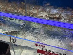 -大润发(高鑫广场店)