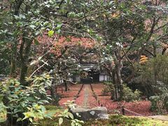 -西芳寺(苔寺)