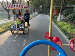 -昆山城市生态森林公园