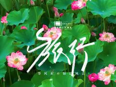 -沐仙湖湿地公园