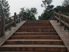 -白鹭湾湿地公园