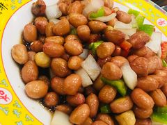 -芦月轩羊蝎子(北蜂窝店)