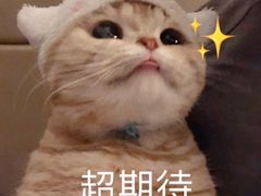 -滋色臻选川菜(北京坊旗舰店)