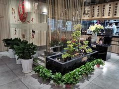 -菌子鲜汤野生菌锅