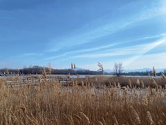 -野鸭湖国家湿地公园