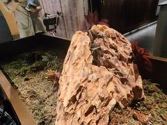 -苏帮袁Sue Cuisine(南开大悦城店)