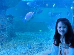 -沙沙哗啦海洋馆(华宇百花谷店)