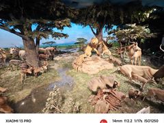 -国家自然博物馆