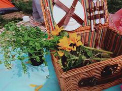 -天津武清北运河郊野公园房车露营地