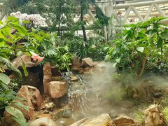 -石家庄市植物园