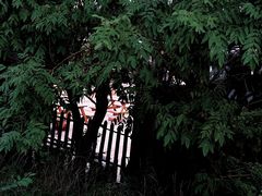 -蒙山大佛景区