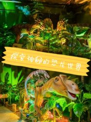 -恐龙探索乐园(磁器口店)