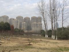 -滨湖塘西河公园