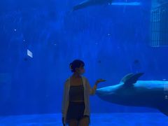 -华夏文旅海洋公园