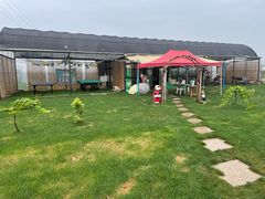 -美家乐农庄·露营·团建(大治路店)