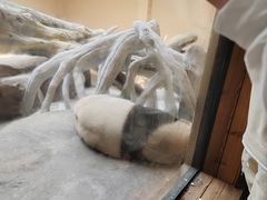 -宁波野生动物园
