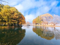 -贡湖湾湿地公园