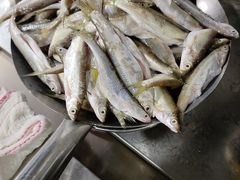 -宝荣鱼馆·临湖之宴(千岛湖店)