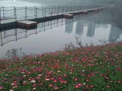 -重庆彩云湖湿地公园