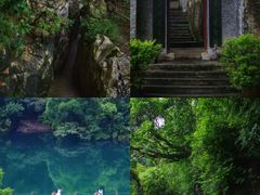 -鼎香皇高佬苏裹蒸粽