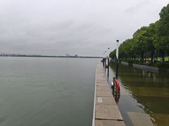 -金鸡湖景区