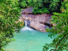 -广州白江湖森林公园