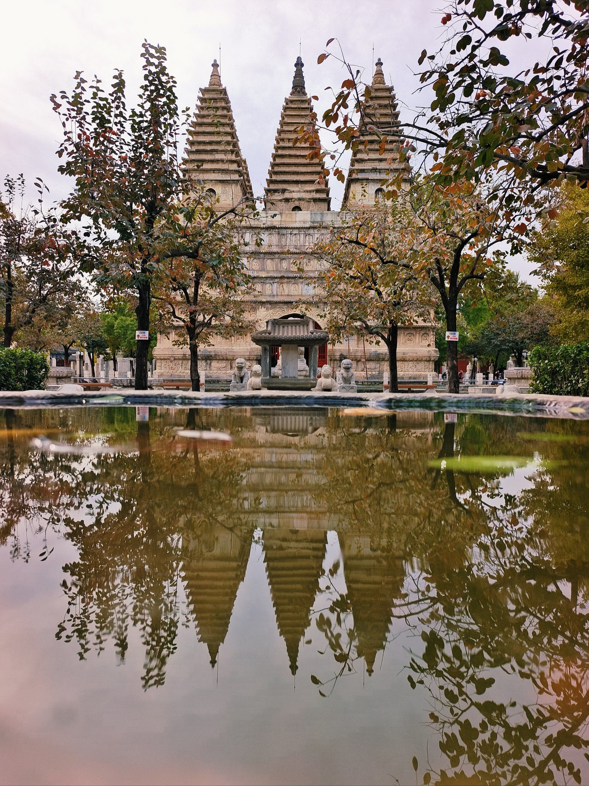 五塔寺,秋意正浓