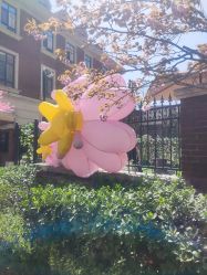 -米莱摄影写真(五大道别墅店)