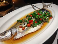 -绿茶餐厅(广州天河城店)