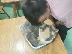 -藦茜花园宠物主题亲子互动体验馆(国顺东路店)