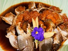 -荟廷·晶萃(陆家嘴尚悦湾店)