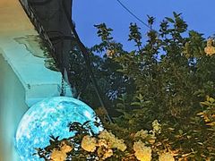 -王捌小院(红花坡店)