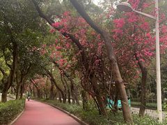 -燕晗山郊野公园