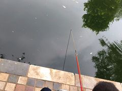 -酷鱼垂钓CLUB(朝阳区博大路店 )