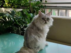 -小时光咖啡馆(北锣鼓巷店)