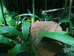 -广州兰圃