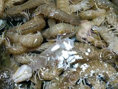 -京贸物联批发市场