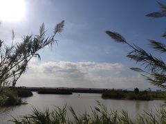 -漩门湾国家湿地公园