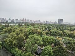 -沙市市中山公园
