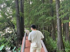 -东湖落雁景区