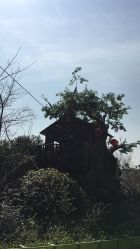 -可可天空农场(中大店)